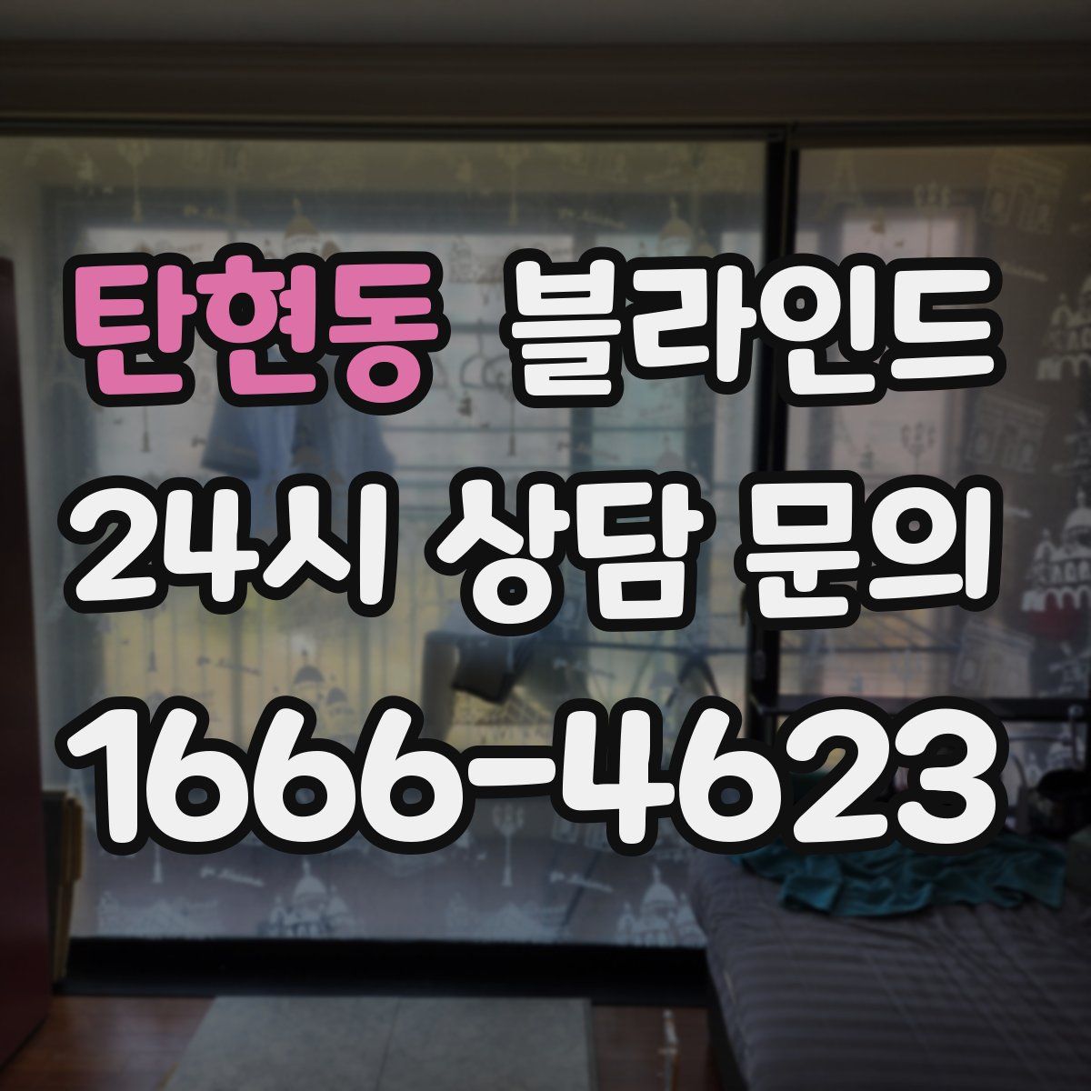탄현동 블라인드