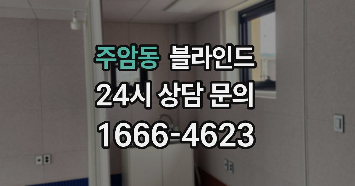 주암동 블라인드