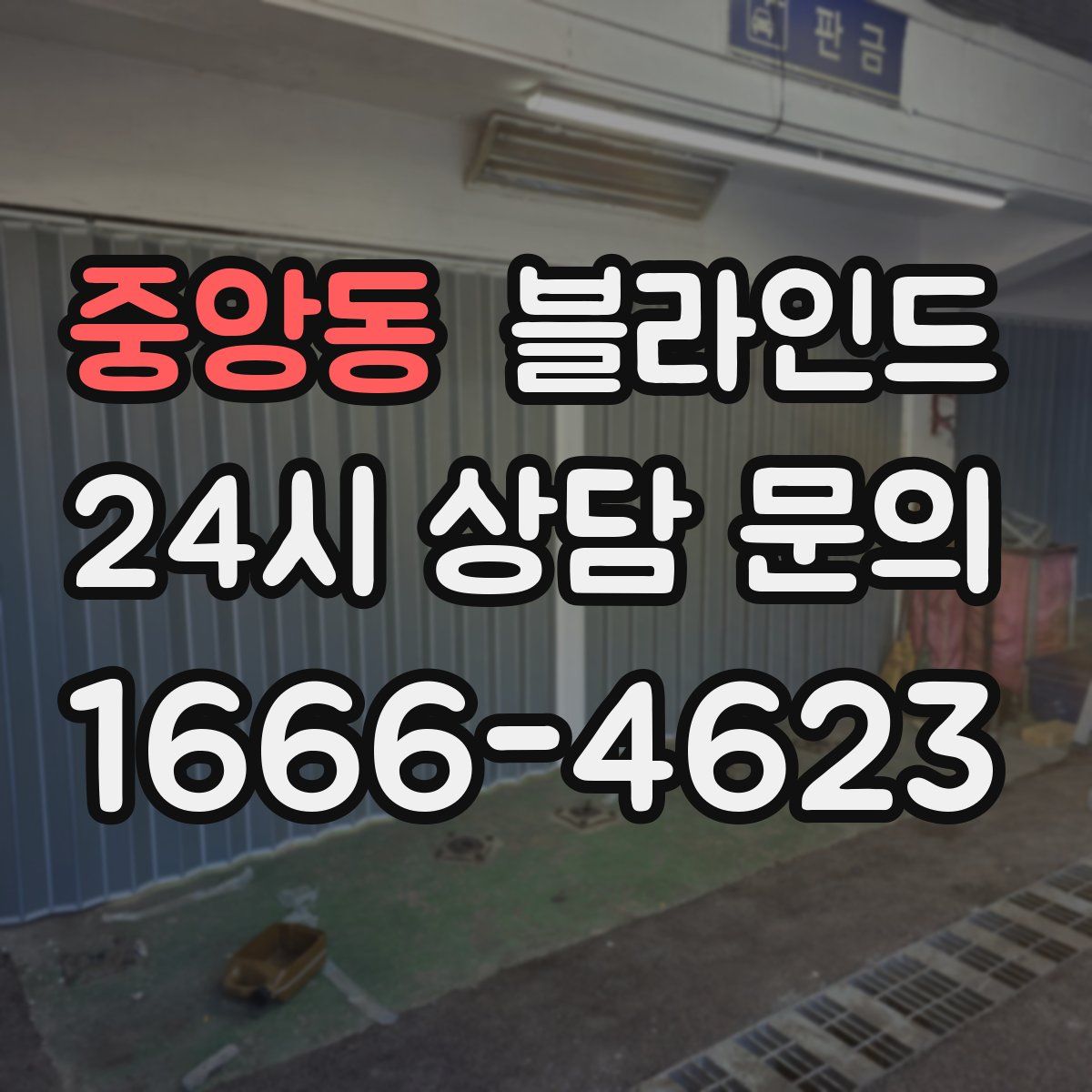 중앙동 블라인드