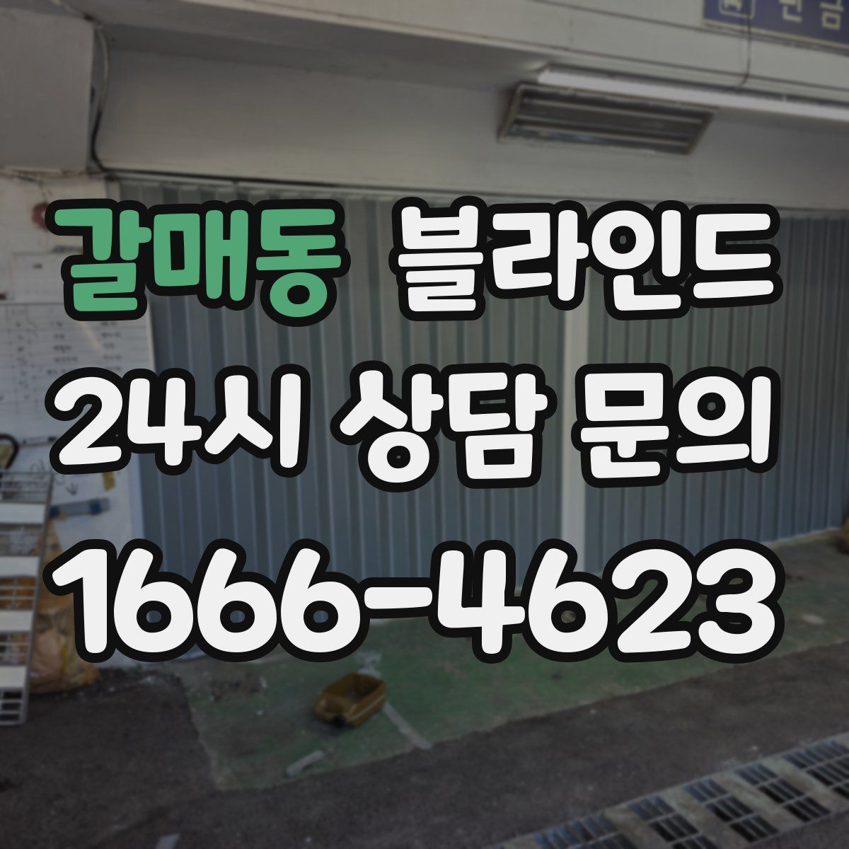 갈매동 블라인드