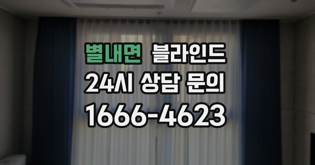 별내면 블라인드