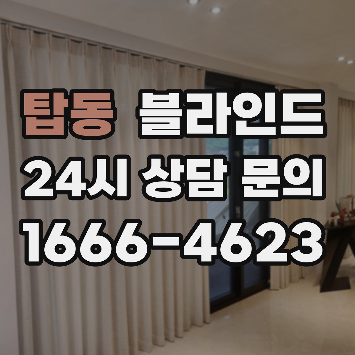 탑동 블라인드