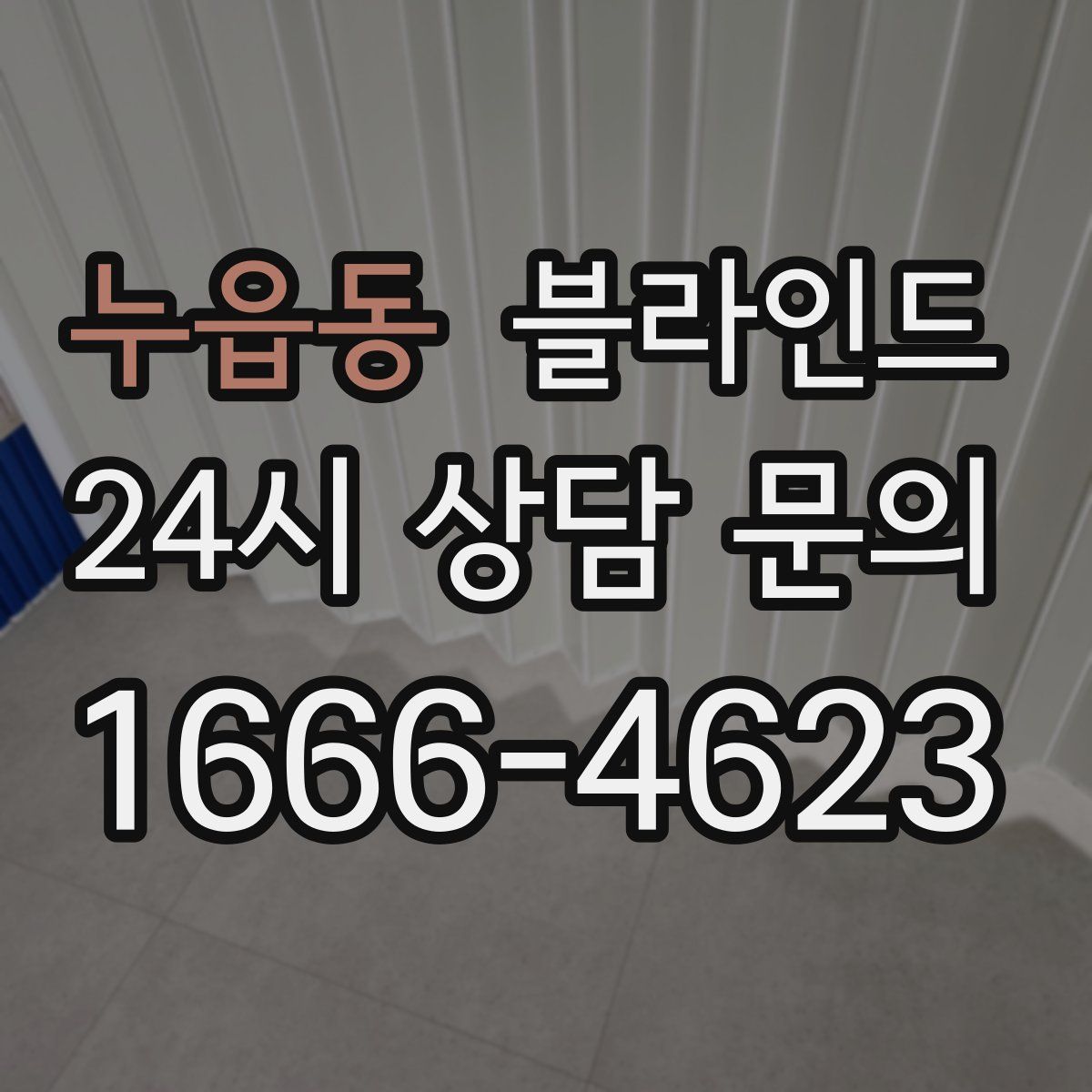 누읍동 블라인드
