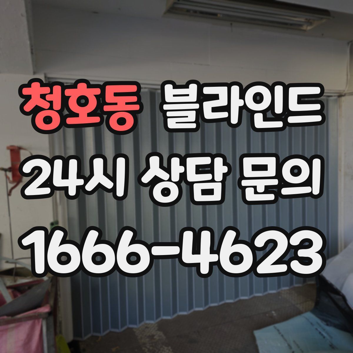 청호동 블라인드