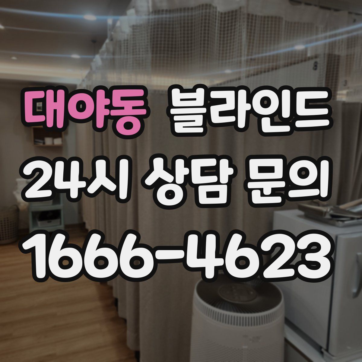 대야동 블라인드