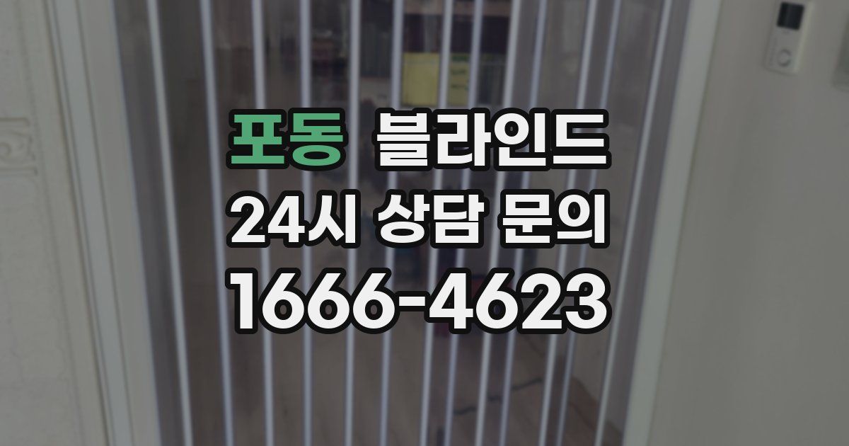 포동 블라인드