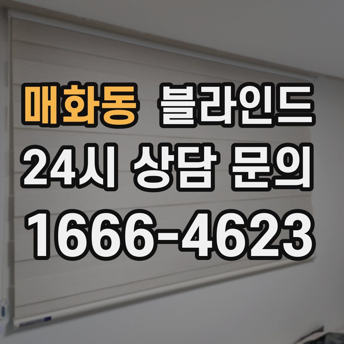 매화동 블라인드