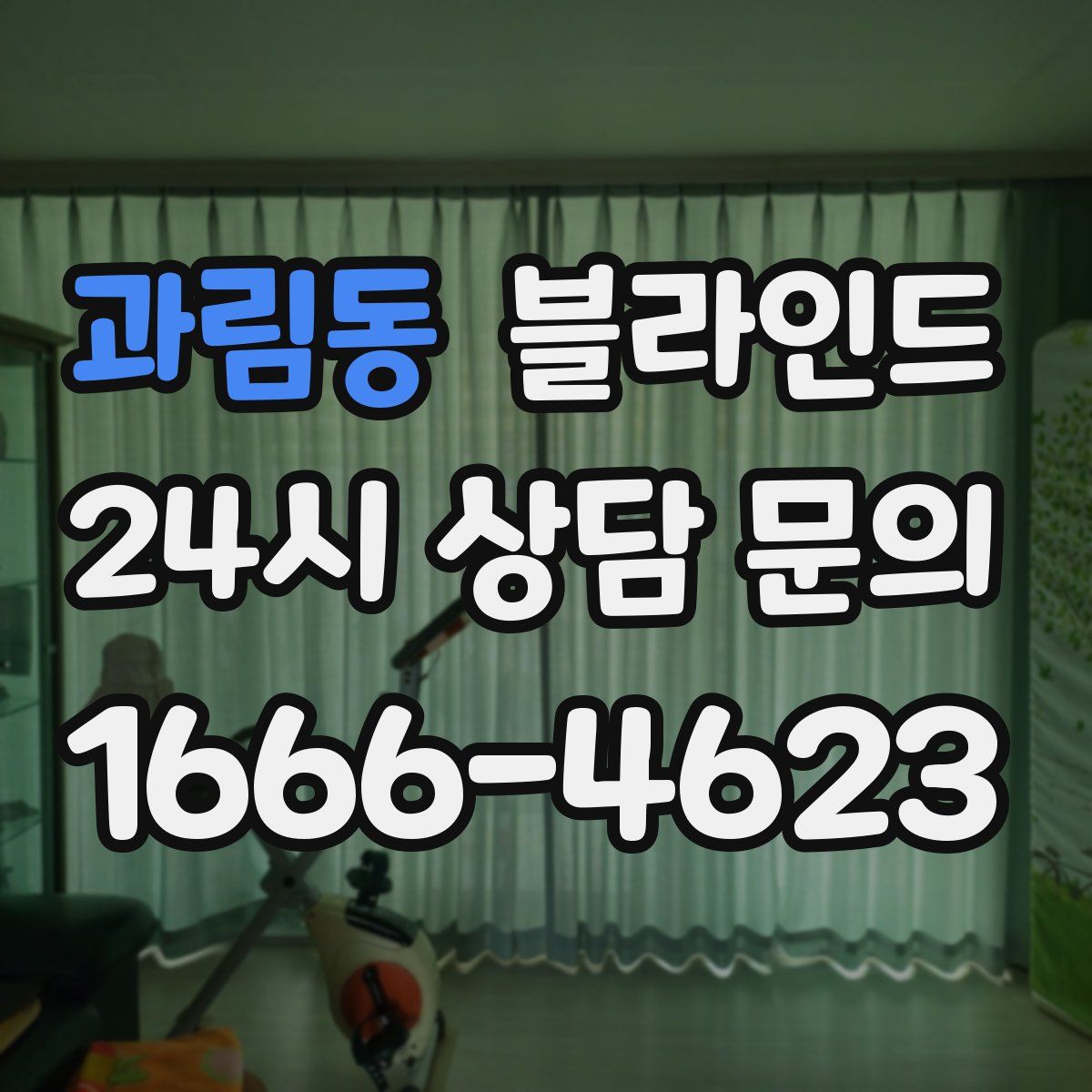 과림동 블라인드