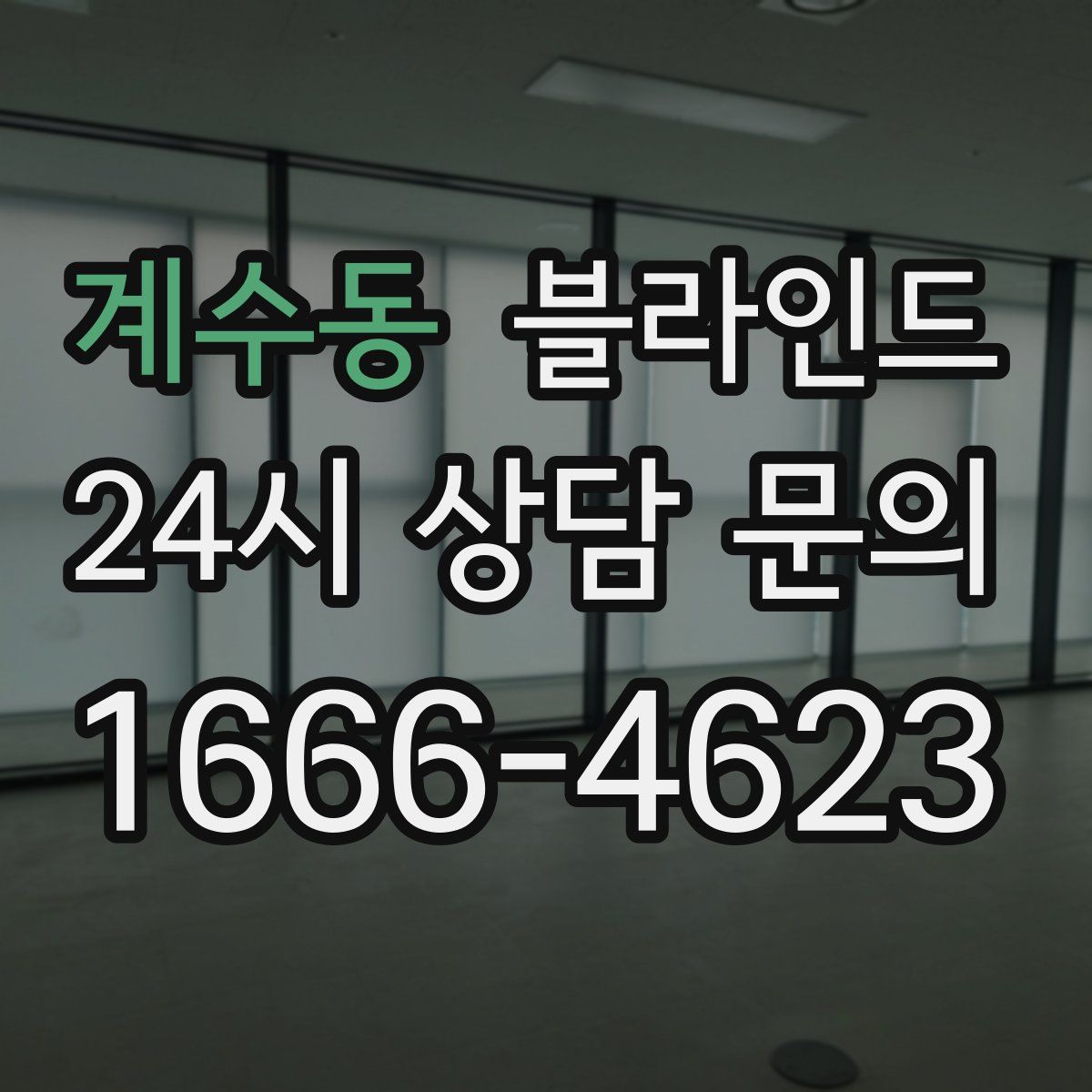 계수동 블라인드