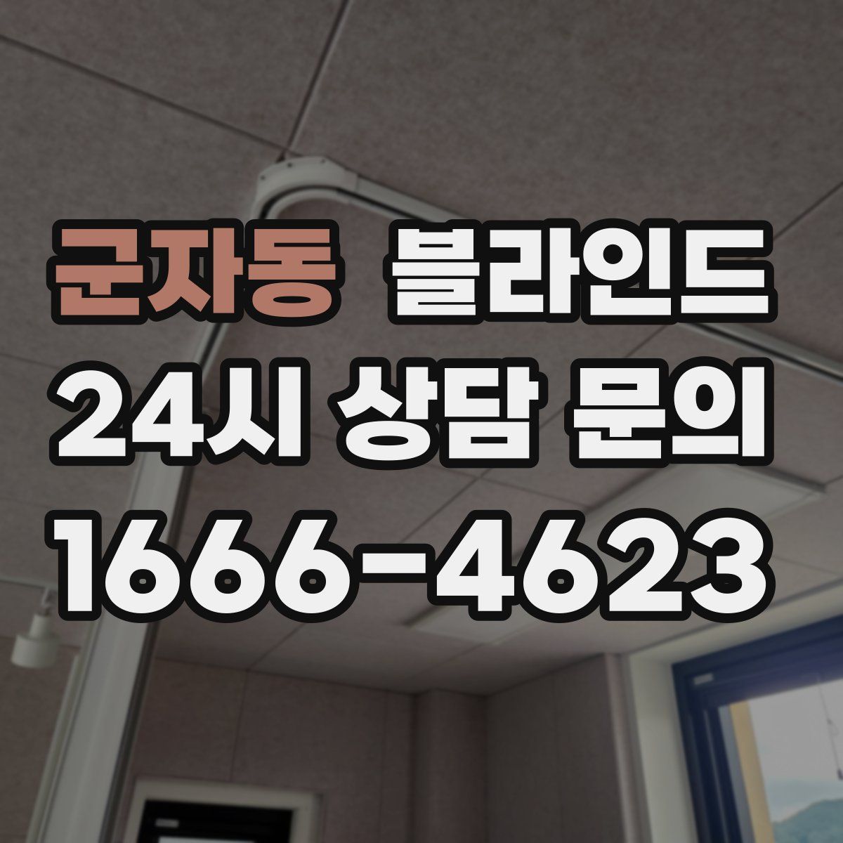 군자동 블라인드