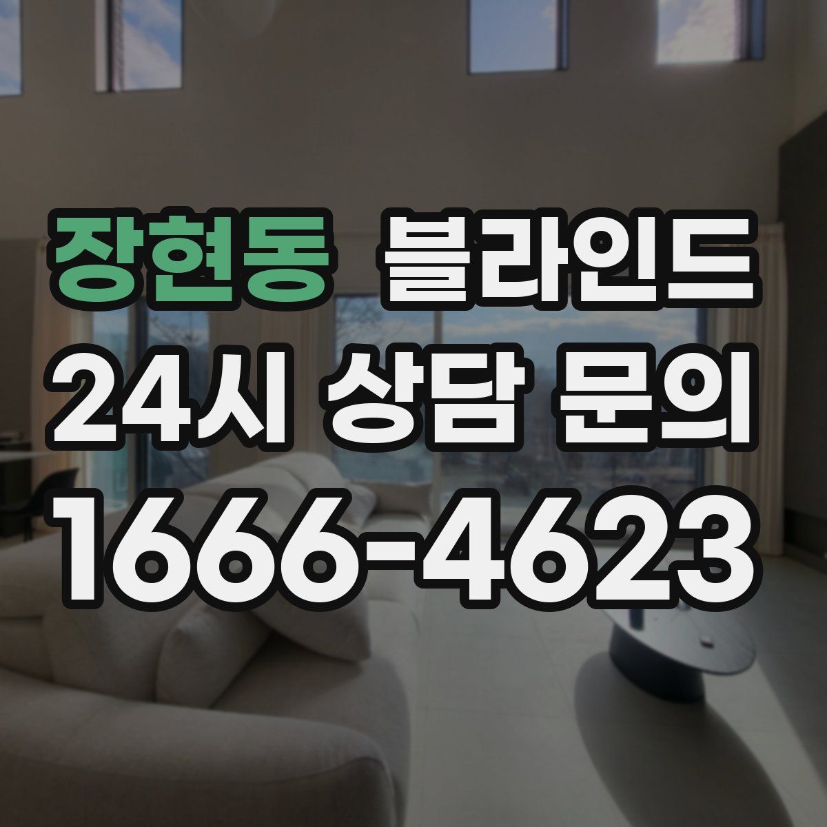 장현동 블라인드