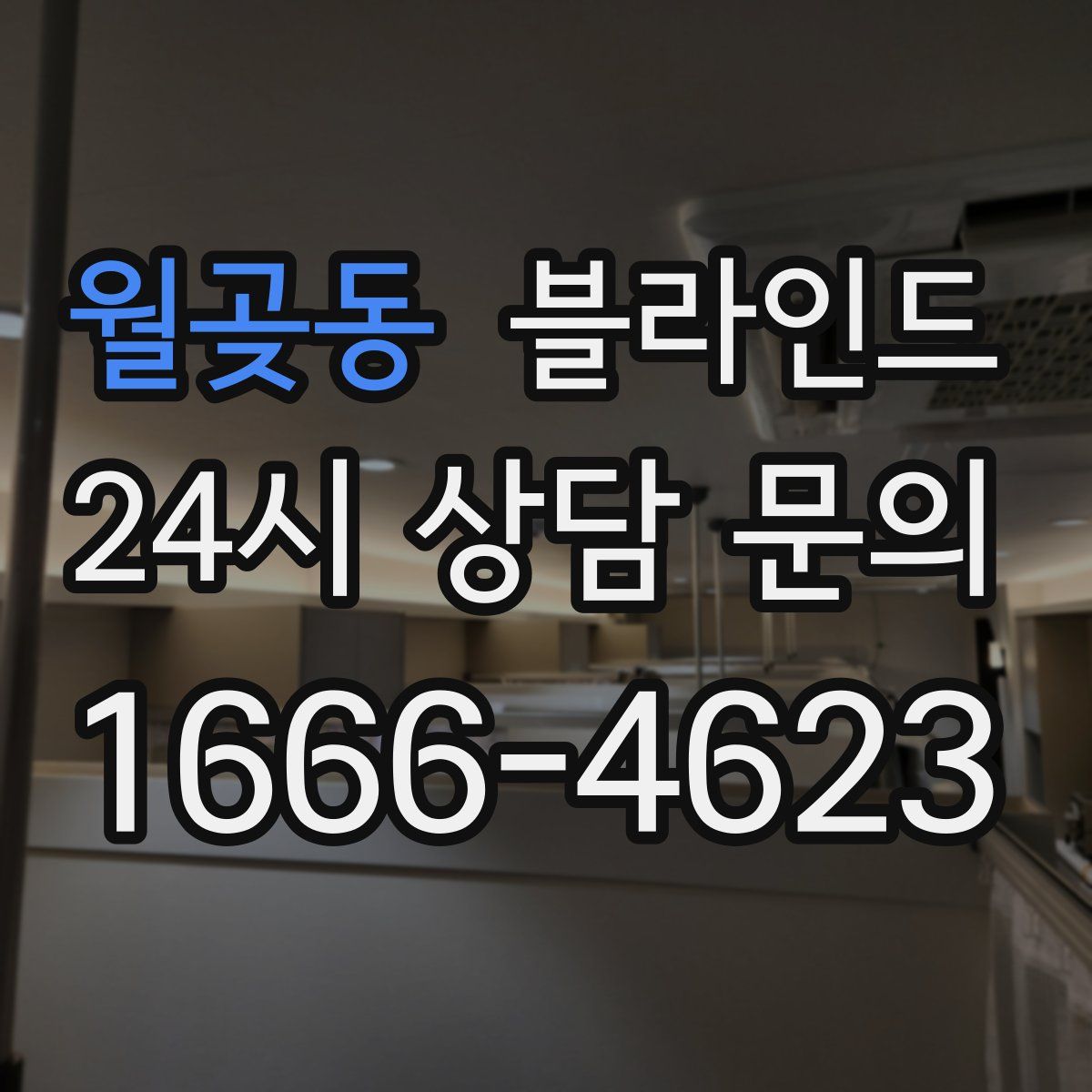 월곶동 블라인드