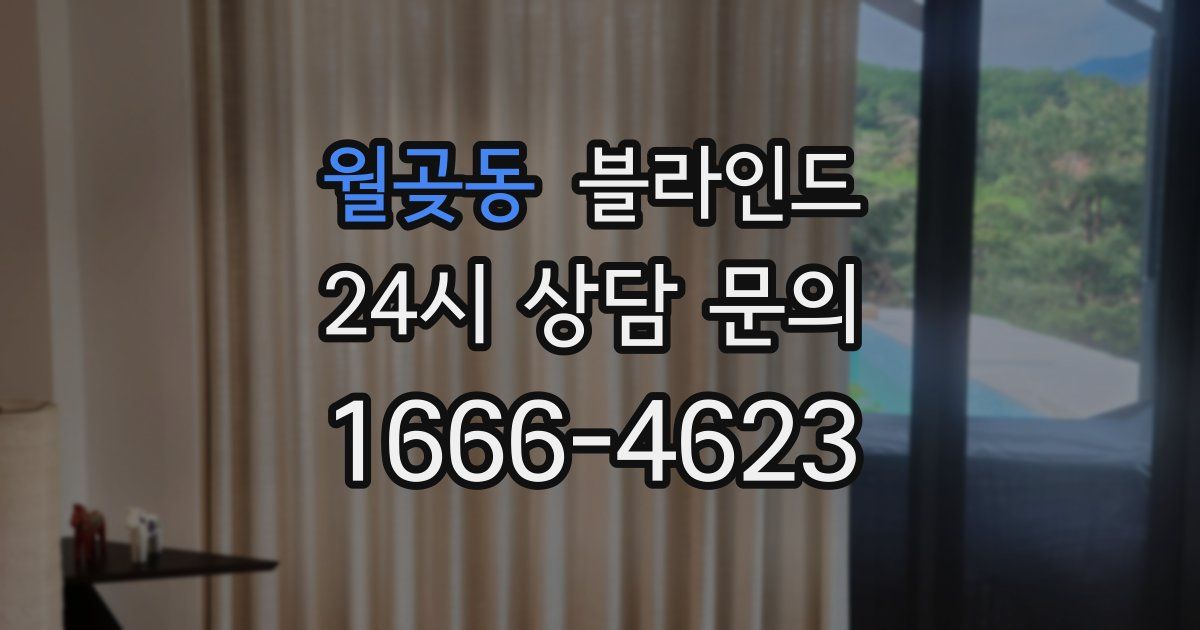 월곶동 블라인드