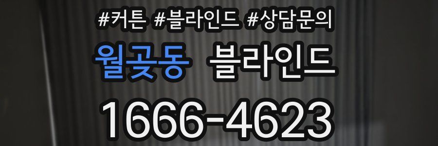 월곶동 블라인드