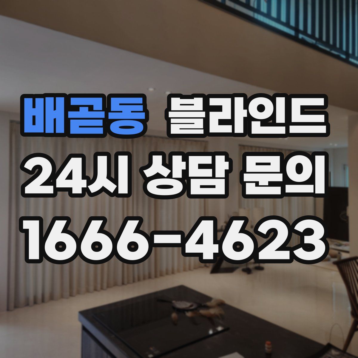배곧동 블라인드