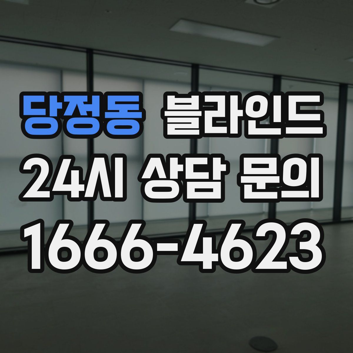 당정동 블라인드