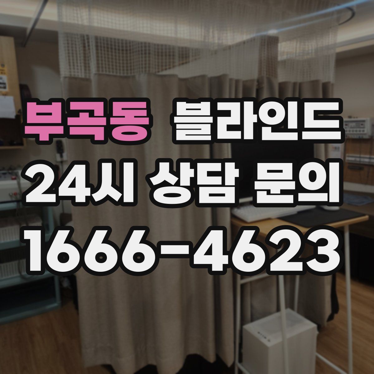 부곡동 블라인드