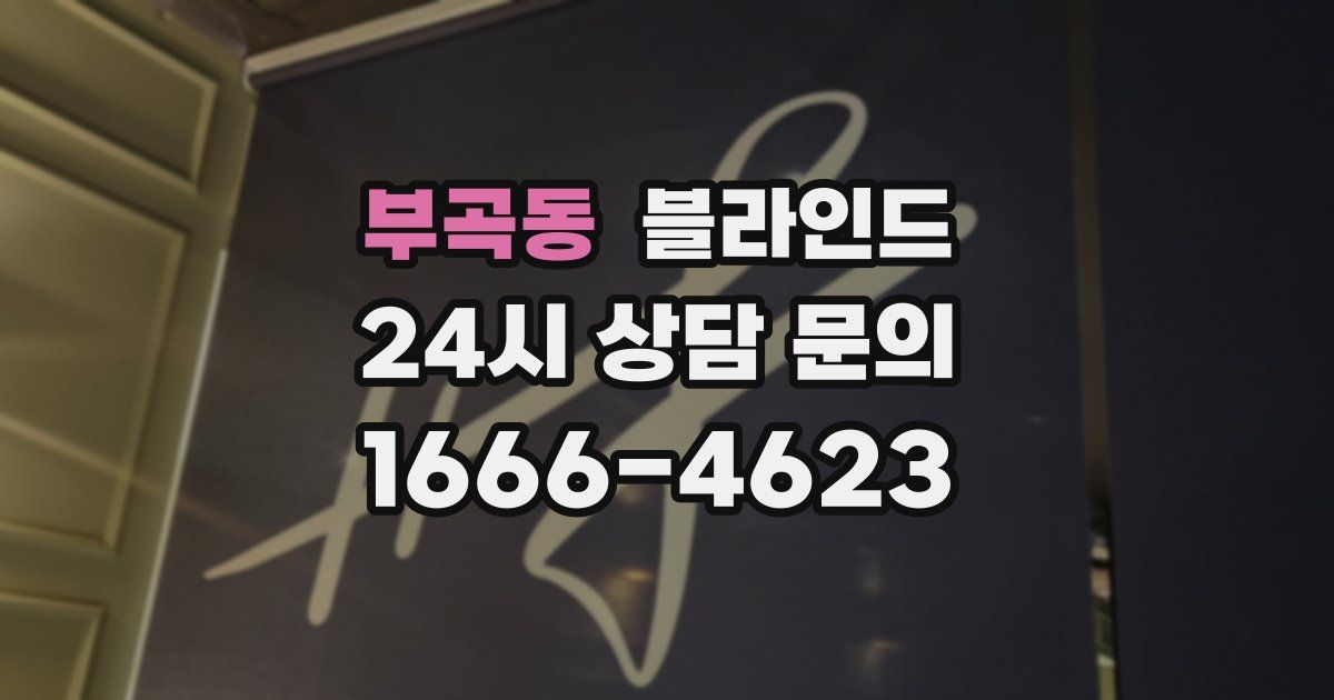 부곡동 블라인드