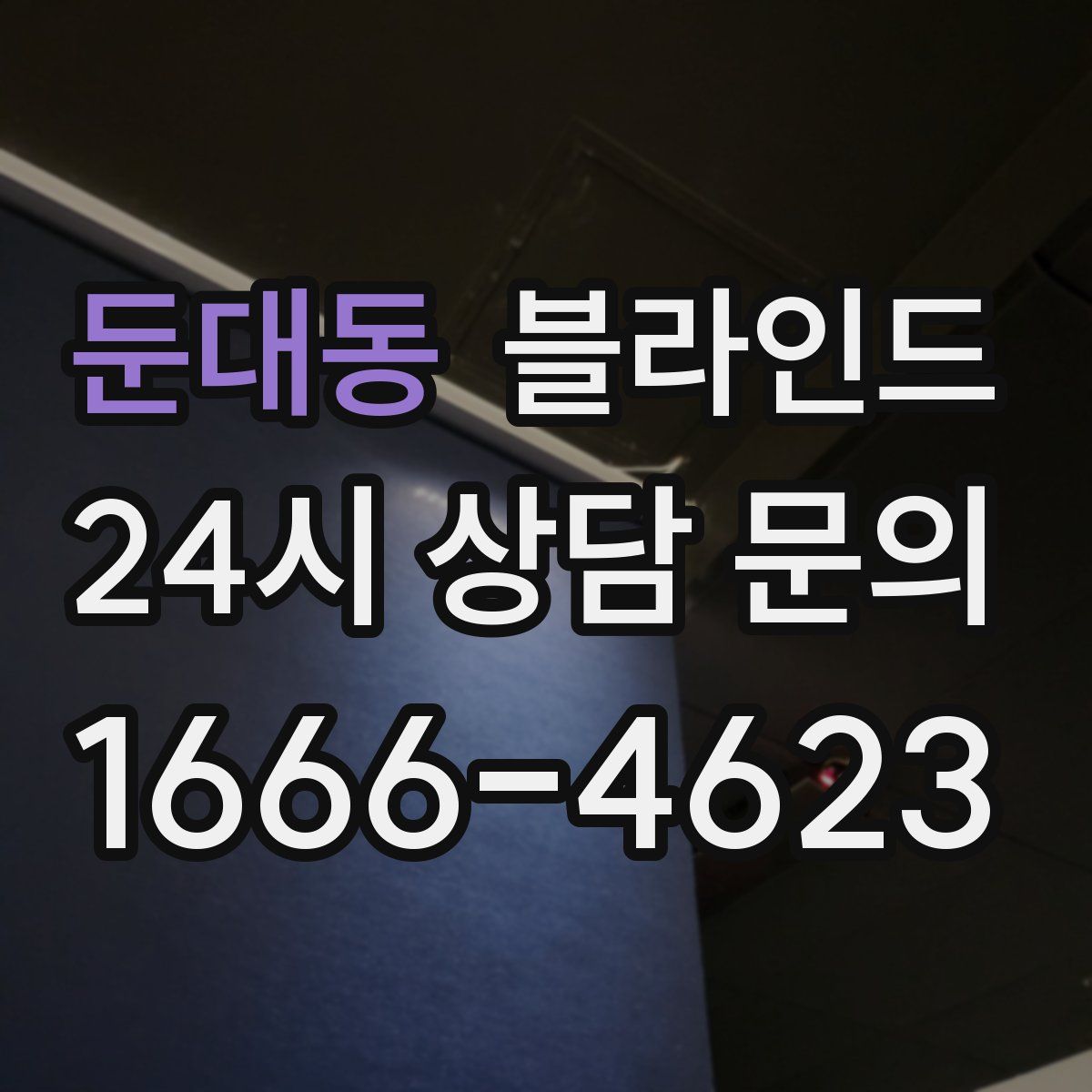 둔대동 블라인드