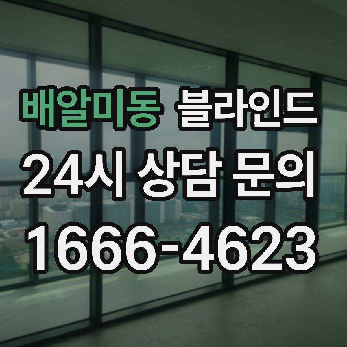 배알미동 블라인드