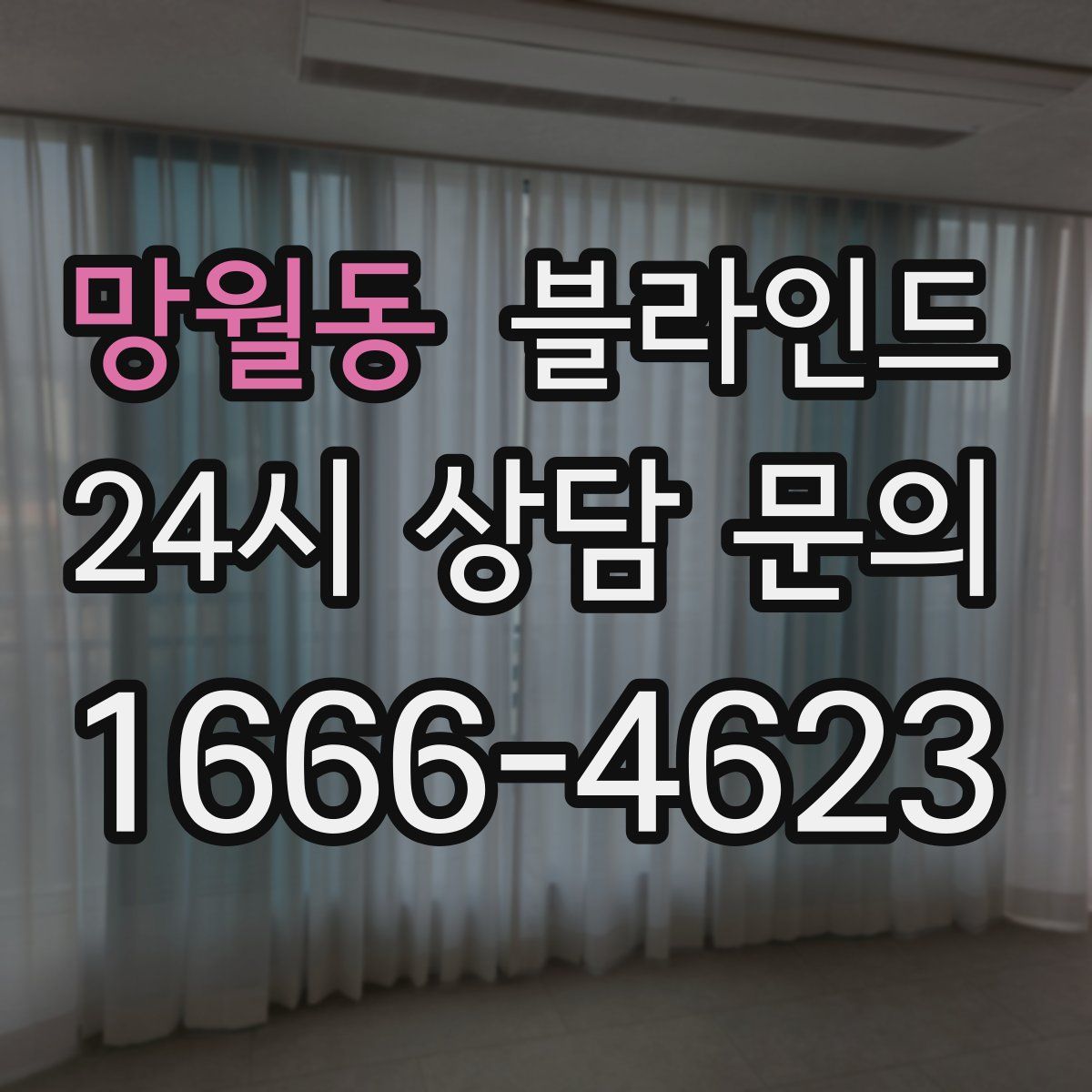 망월동 블라인드