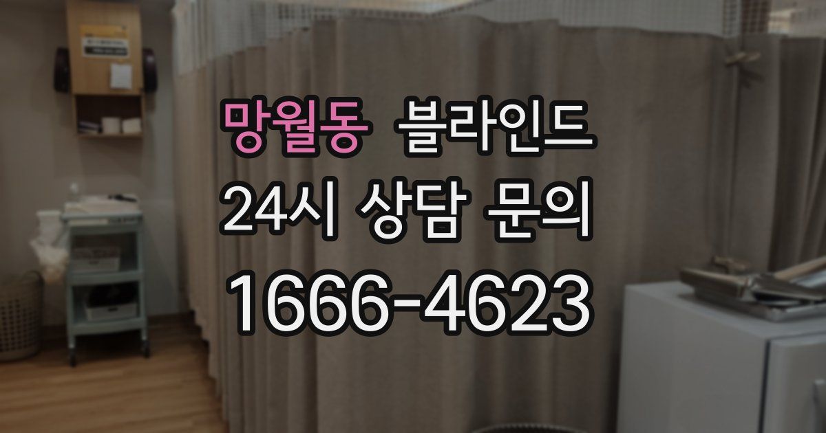 망월동 블라인드