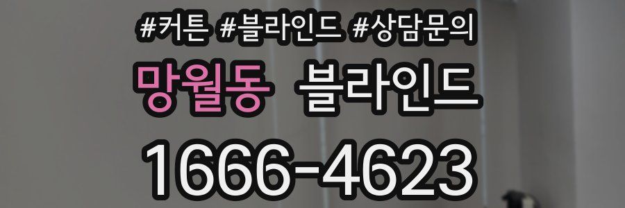 망월동 블라인드