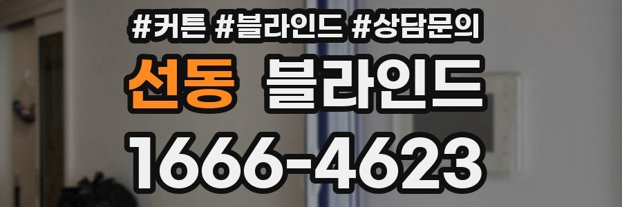 선동 블라인드