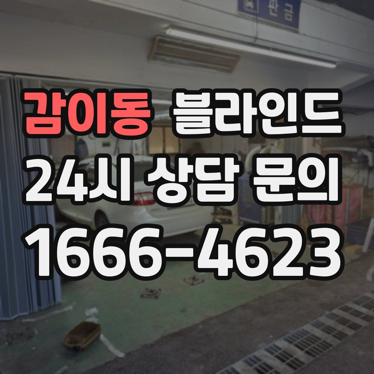 감이동 블라인드