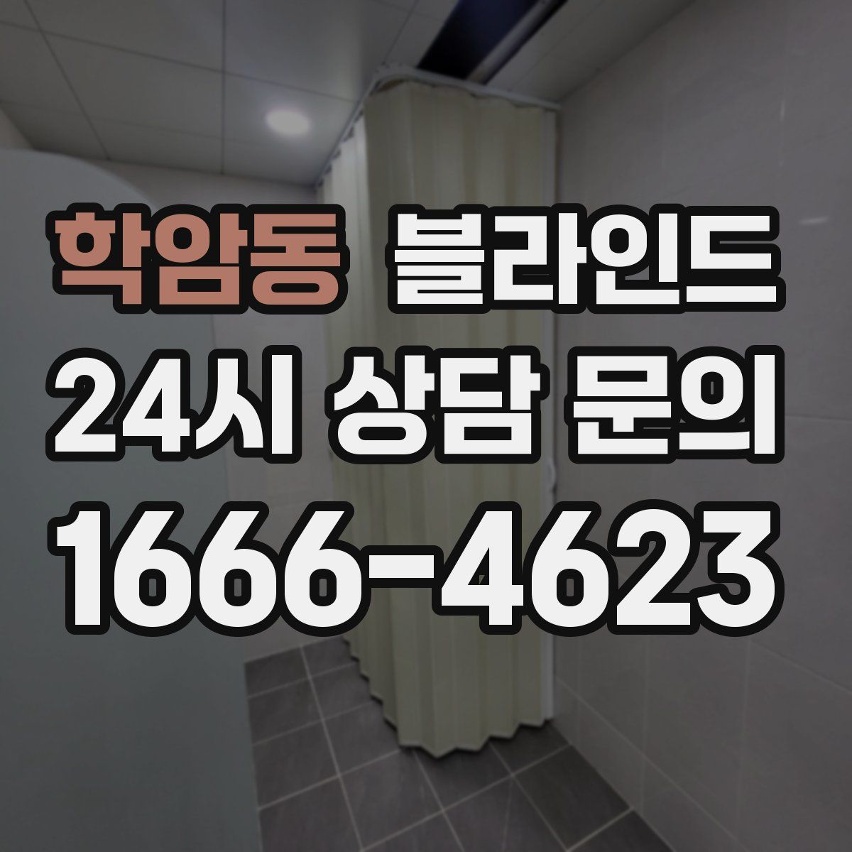 학암동 블라인드