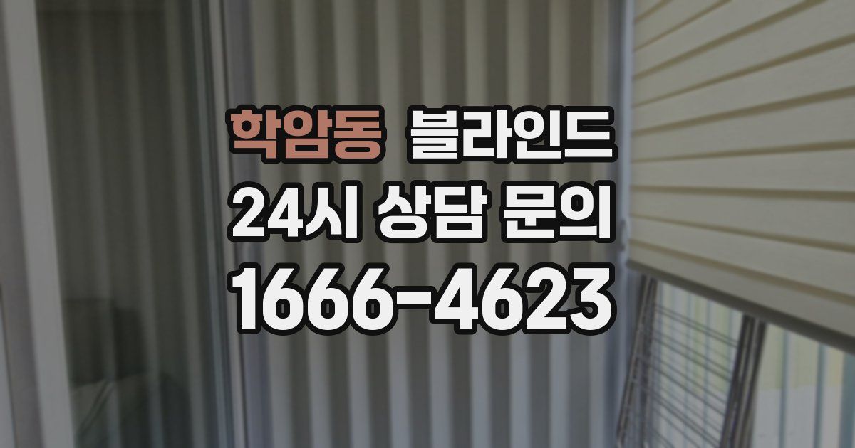 학암동 블라인드