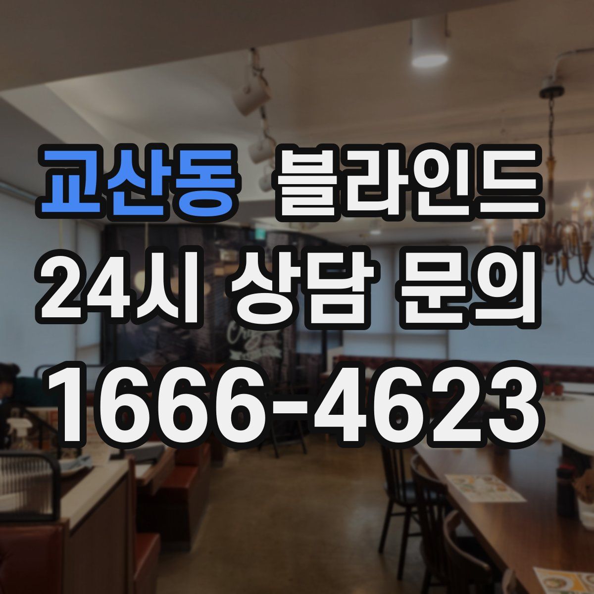 교산동 블라인드