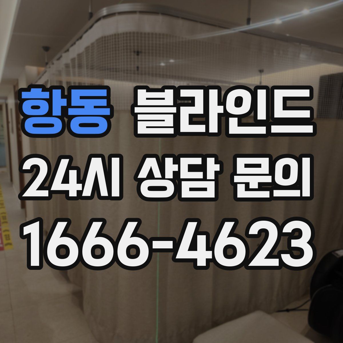 항동 블라인드