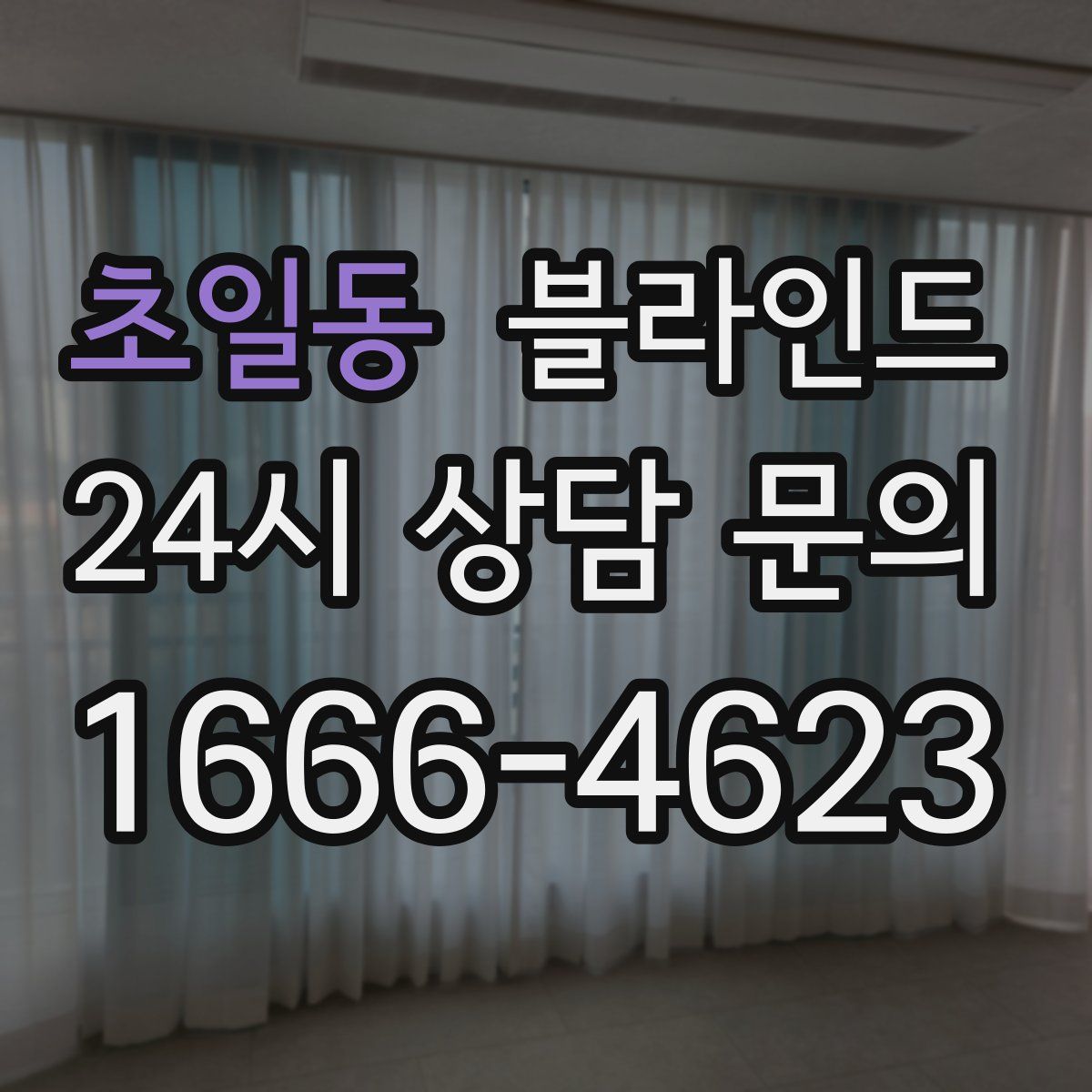 초일동 블라인드