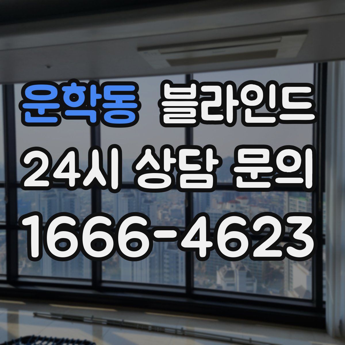 운학동 블라인드