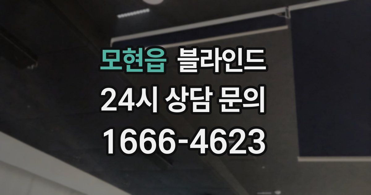 모현읍 블라인드
