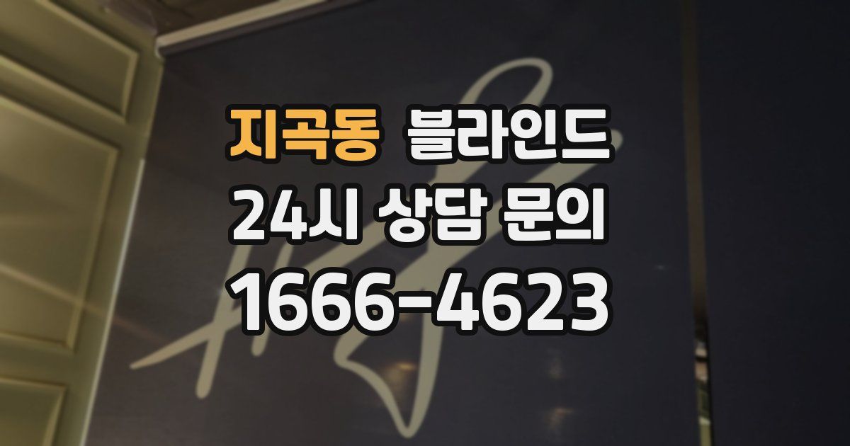 지곡동 블라인드