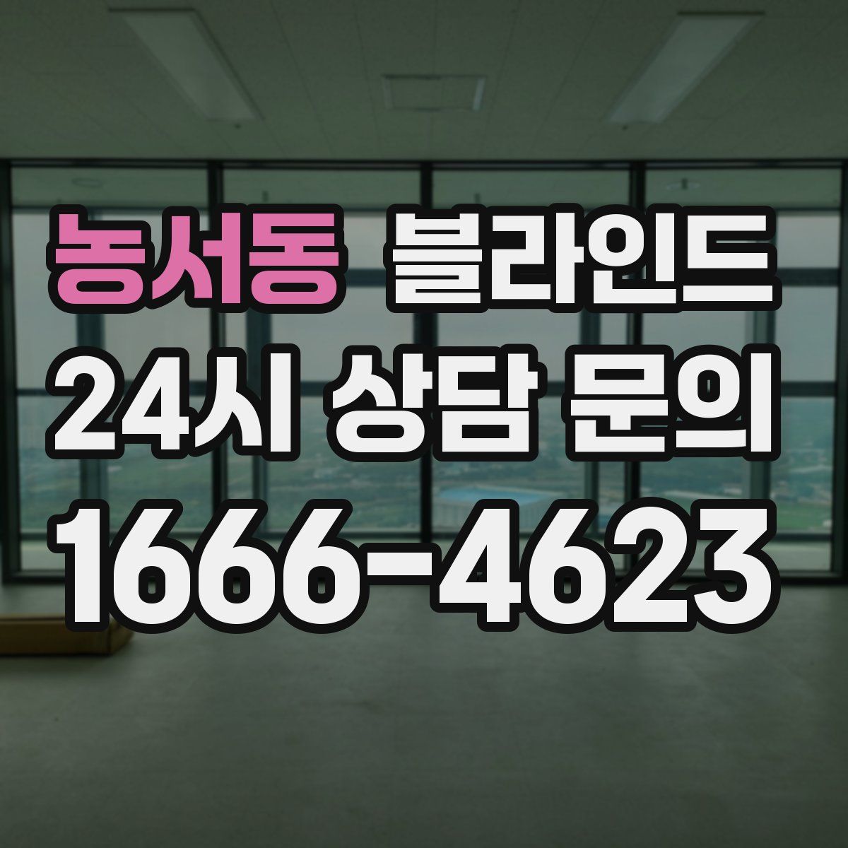농서동 블라인드