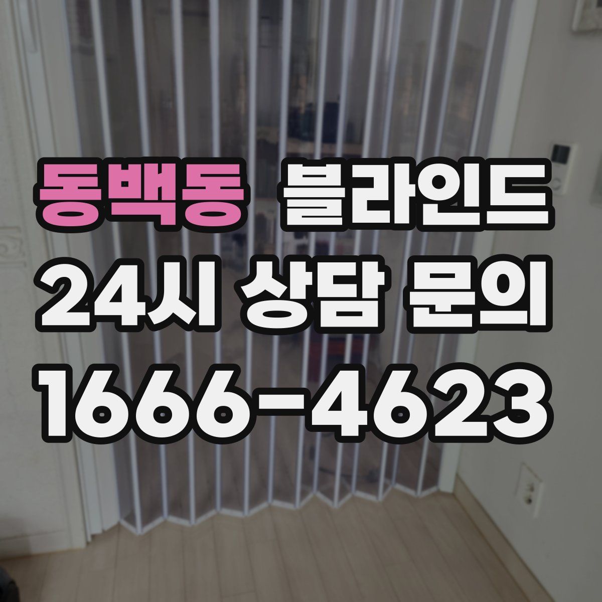 동백동 블라인드