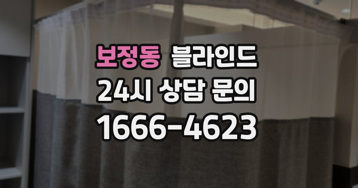 보정동 블라인드