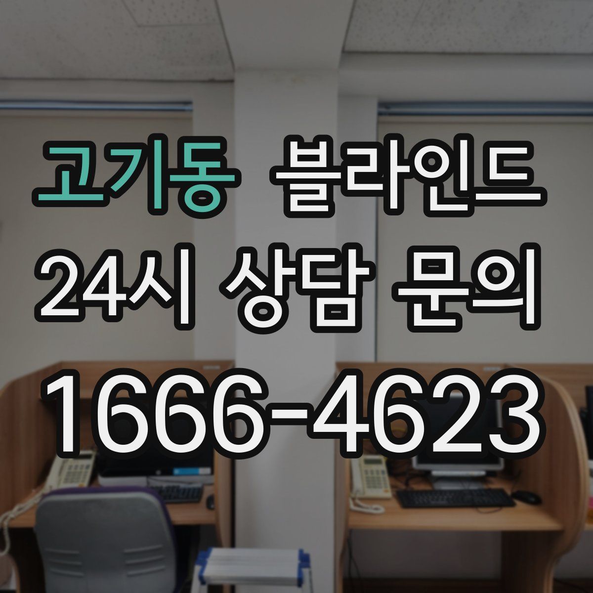 고기동 블라인드