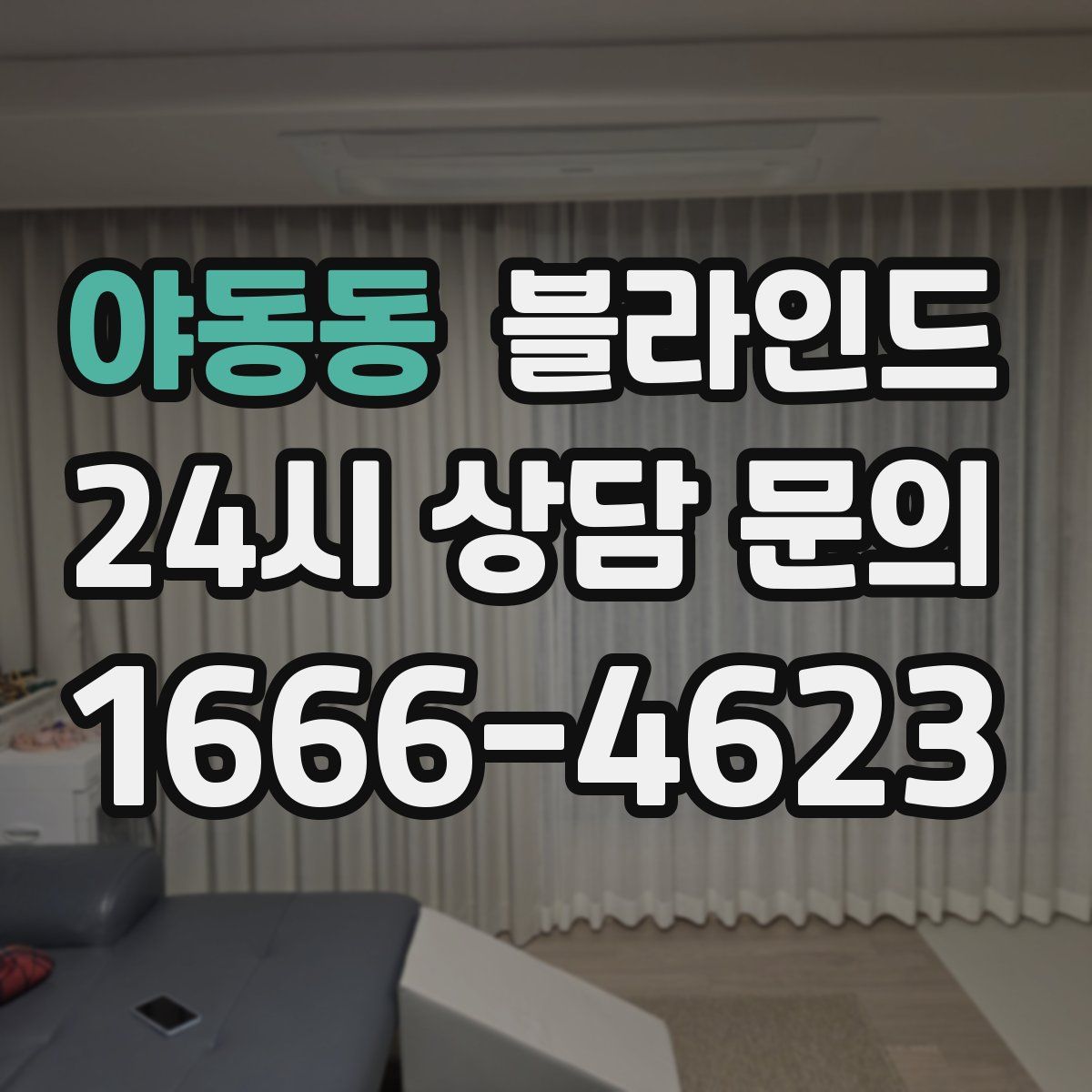 야동동 블라인드