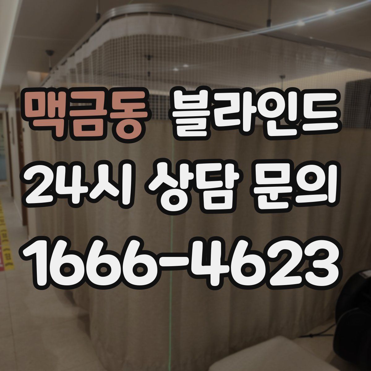 맥금동 블라인드