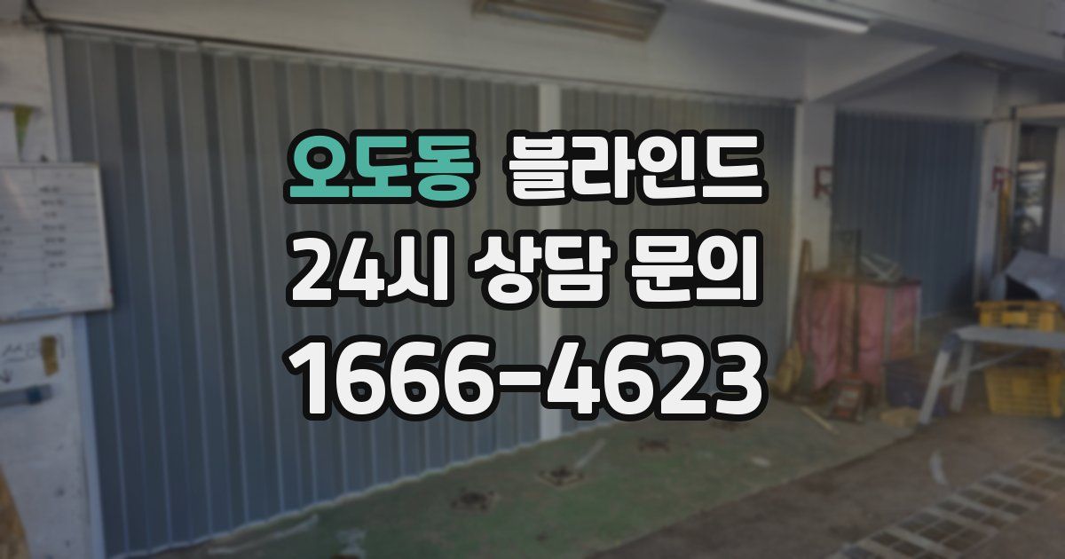 오도동 블라인드