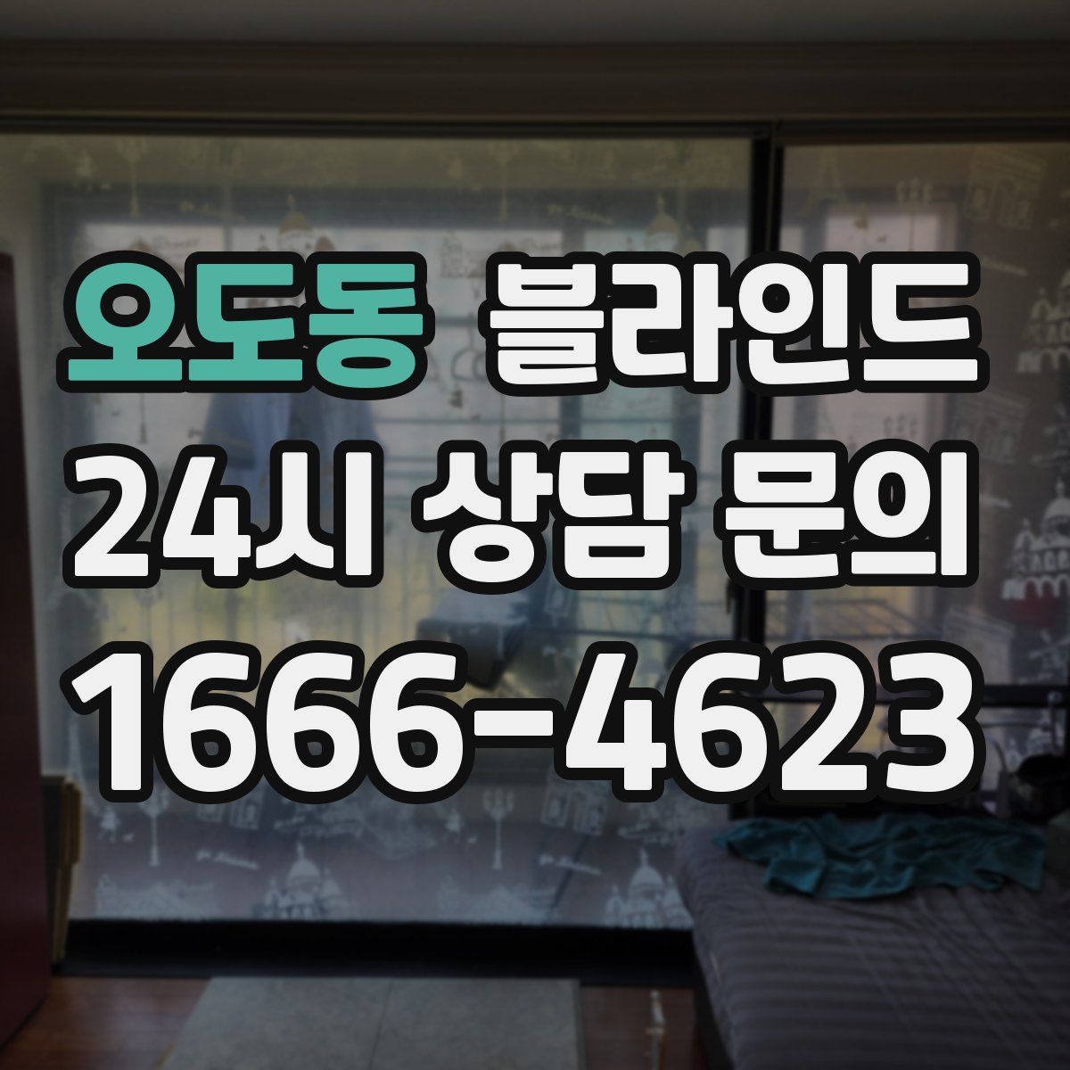 오도동 블라인드
