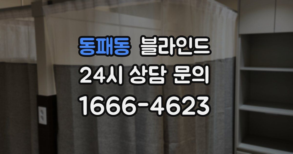 동패동 블라인드