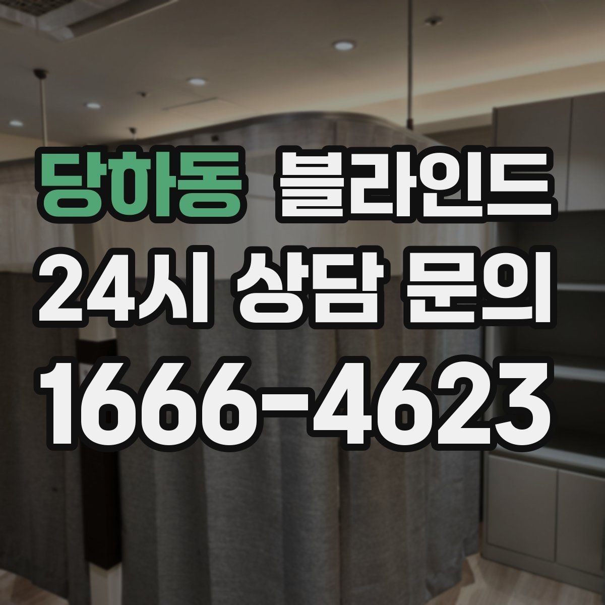 당하동 블라인드 구매 전 알아야 할 기본 정보