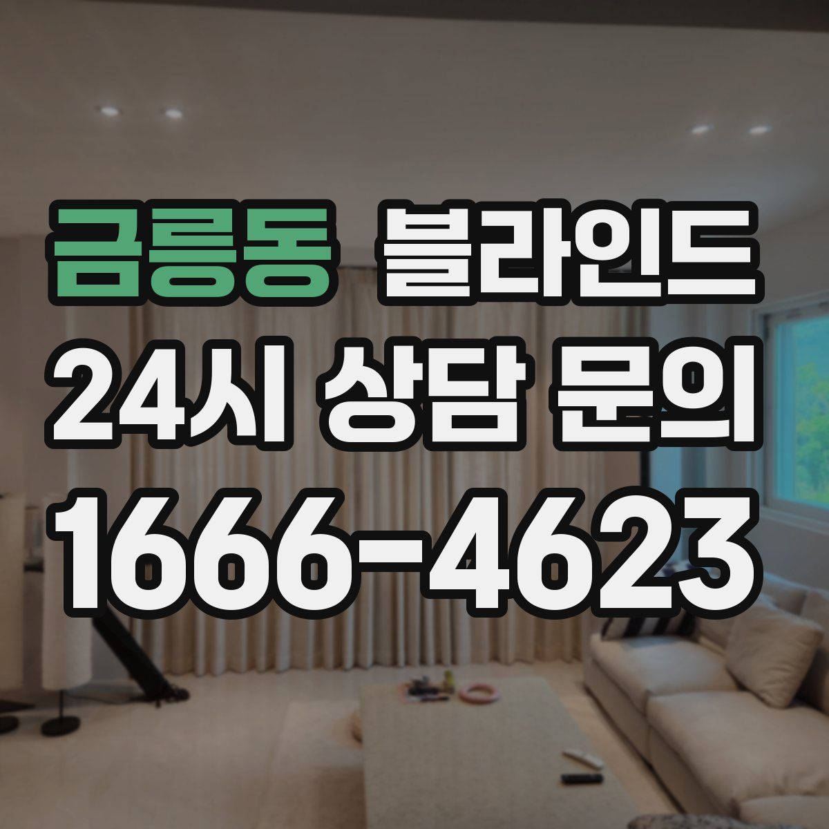 금릉동 블라인드