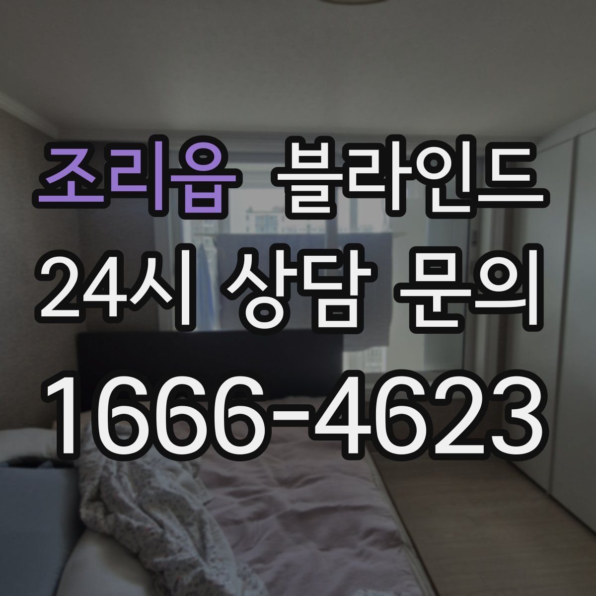 조리읍 블라인드