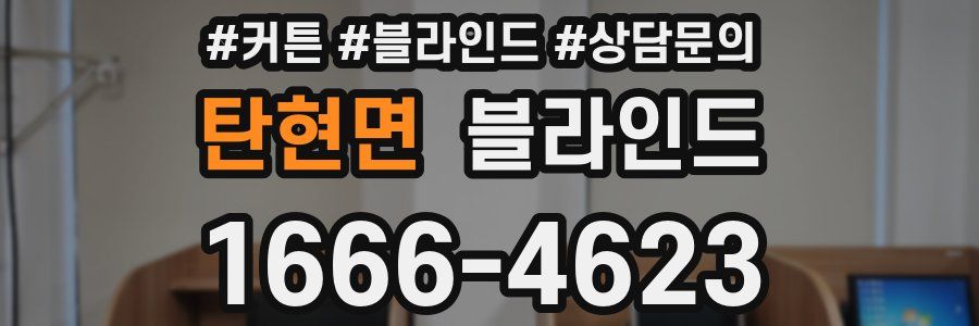 탄현면 블라인드